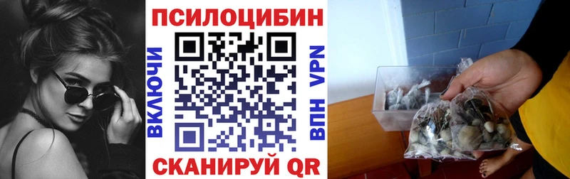 Галлюциногенные грибы Psilocybe Омутнинск